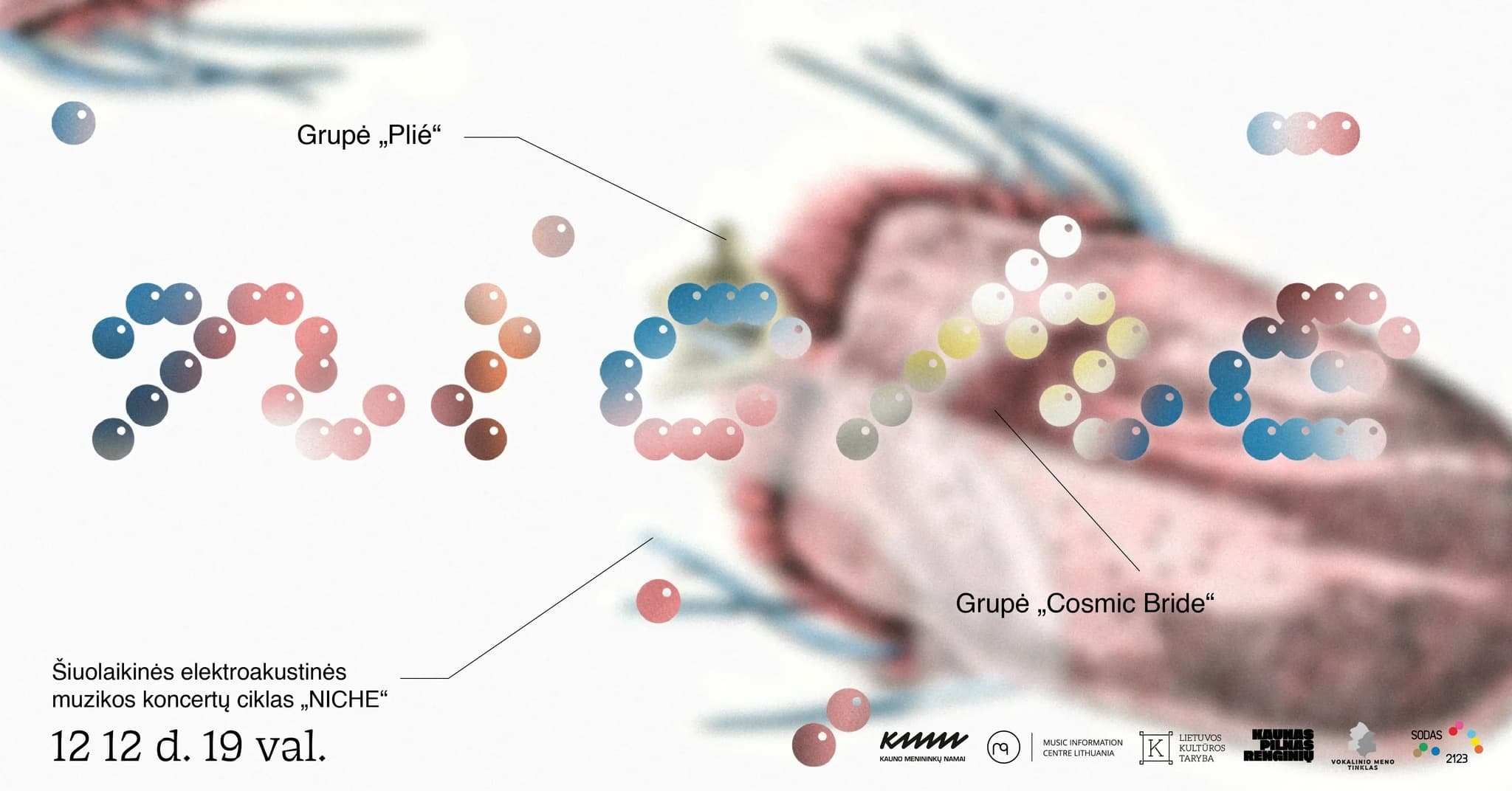 NICHE | Plié, Cosmic Bride