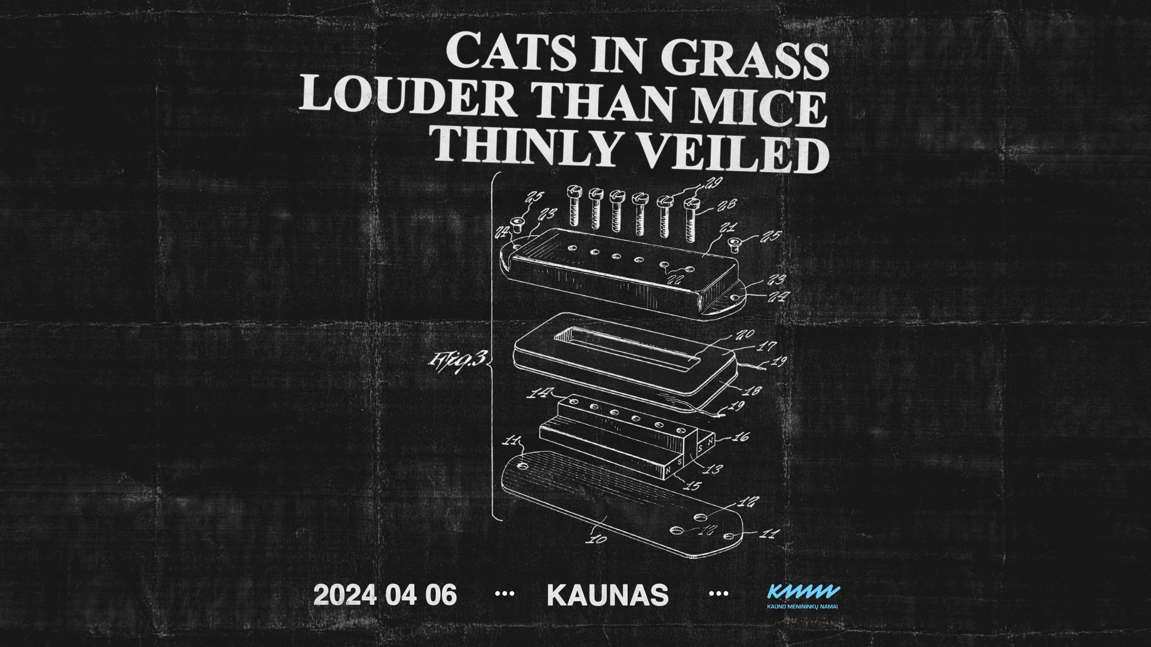 Cats In Grass x Louder Than Mice x Thinly Veiled | Koncertas