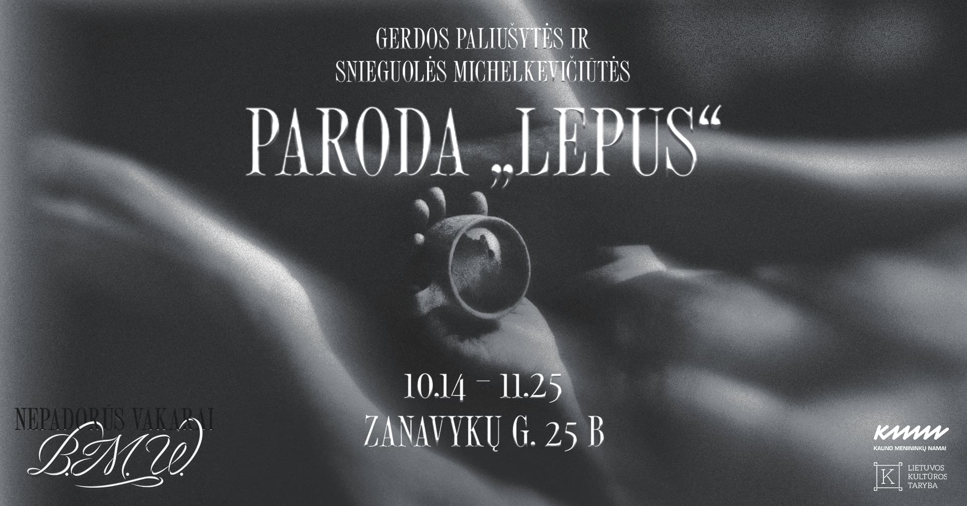 Nepadorūs vakarai. B.M.W. ▞ Paroda „Lepus“