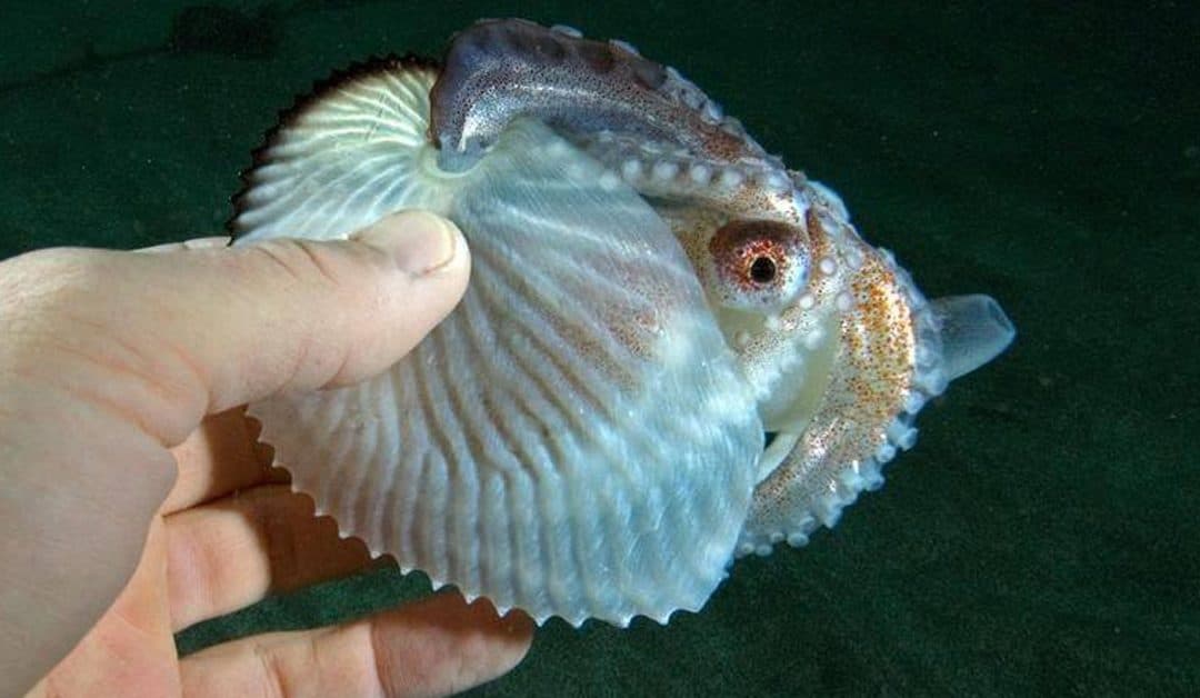 CLAP WHEN YOU WANT TO! #3