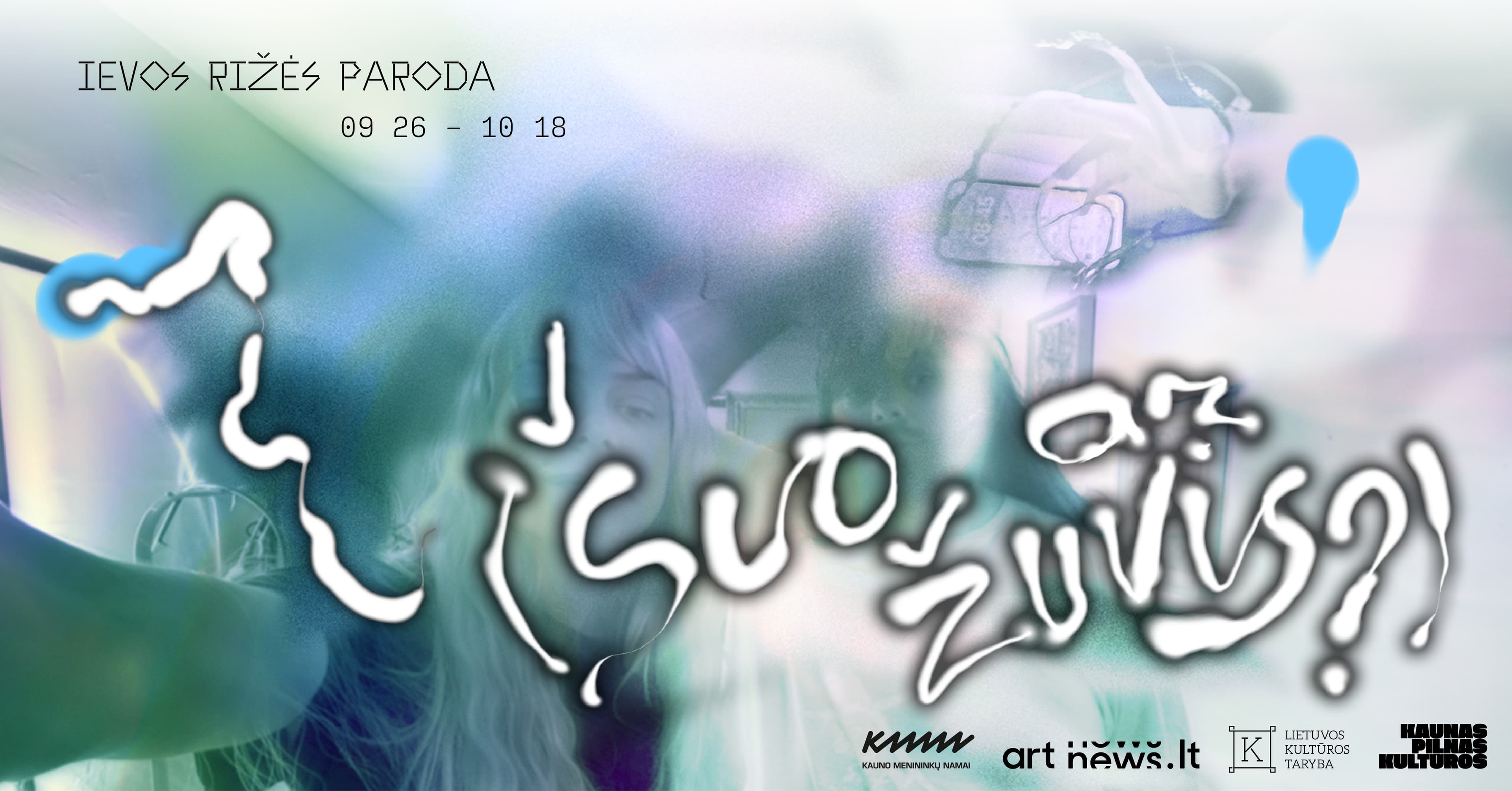 Sapnas pilvu į viršų (šuo ar žuvis?) | Ievos Rižės paroda