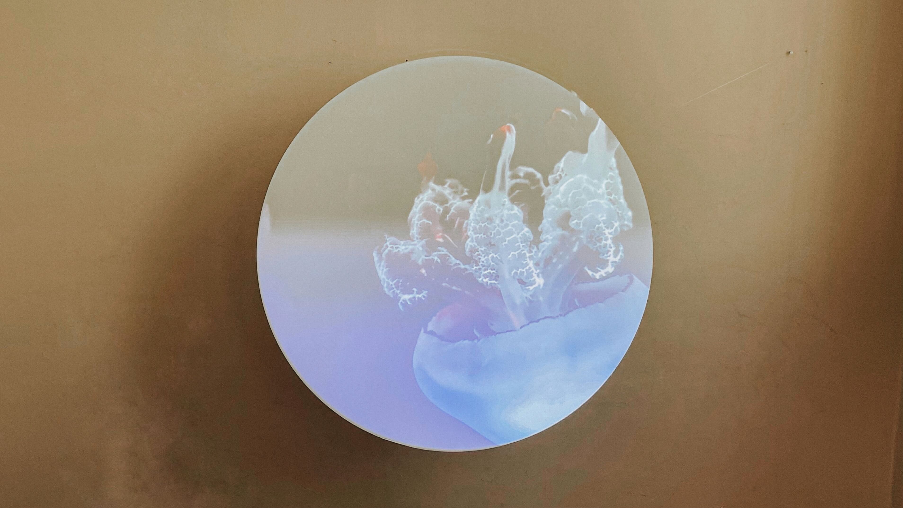 AUDRA x KMN | Instaliacijos