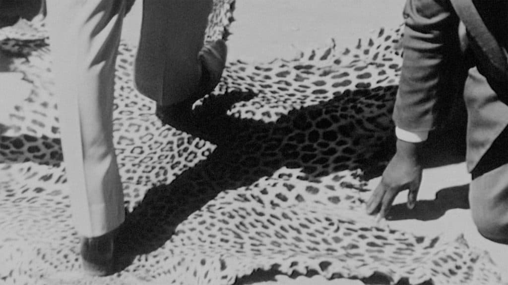 Du būdai aptarti dabartyje veikiančią praeitį: kalbos sutrikimai ir šmėklų stebėjimas