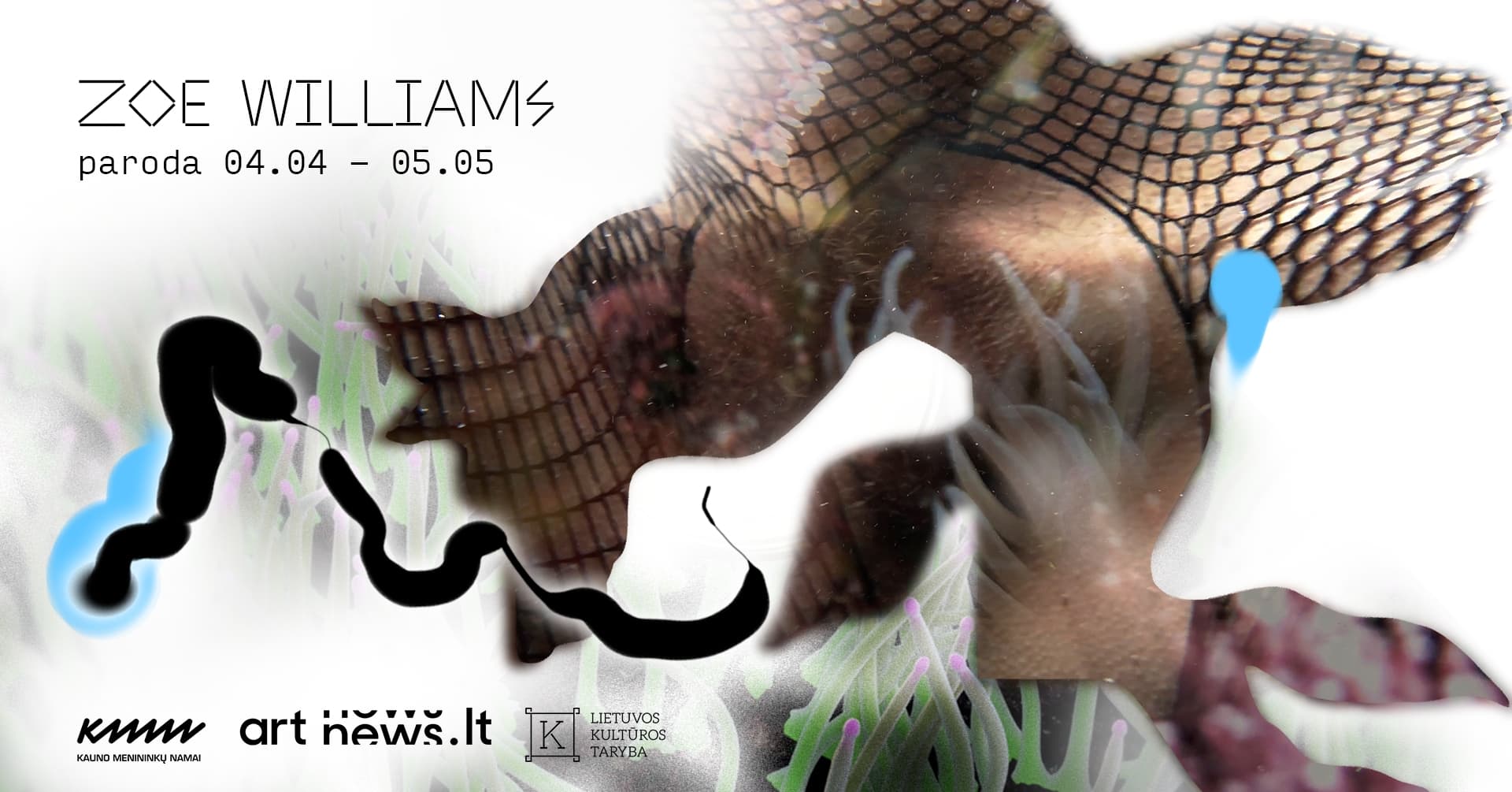 Sapnas pilvu į viršų (šuo ar žuvis?) | Zoe Williams paroda