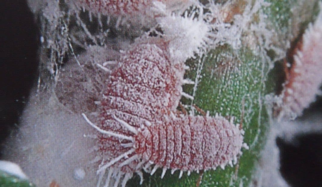 CLAP WHEN YOU WANT TO! #2