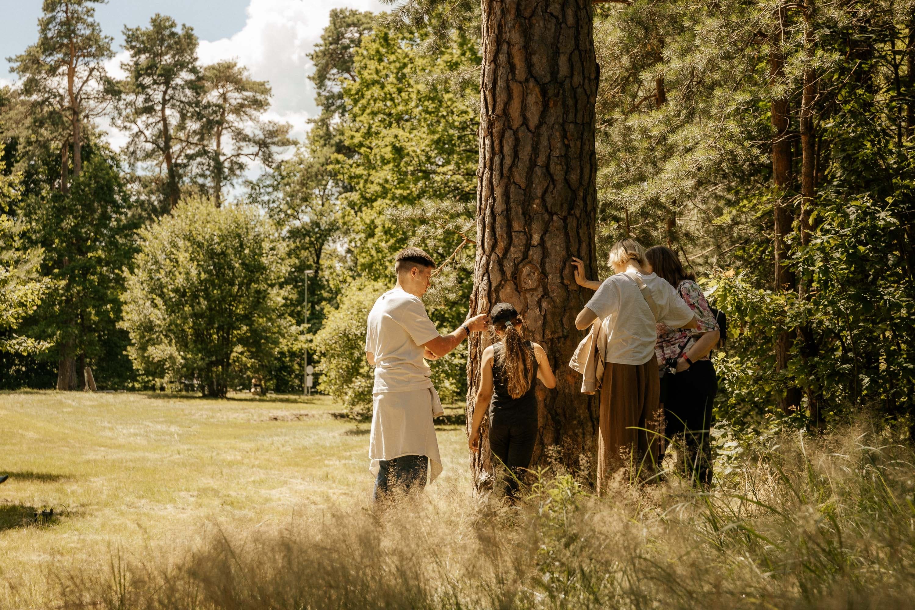 Festivalis „Pojūčių šilas“: miškas mieste ar miestas miške?