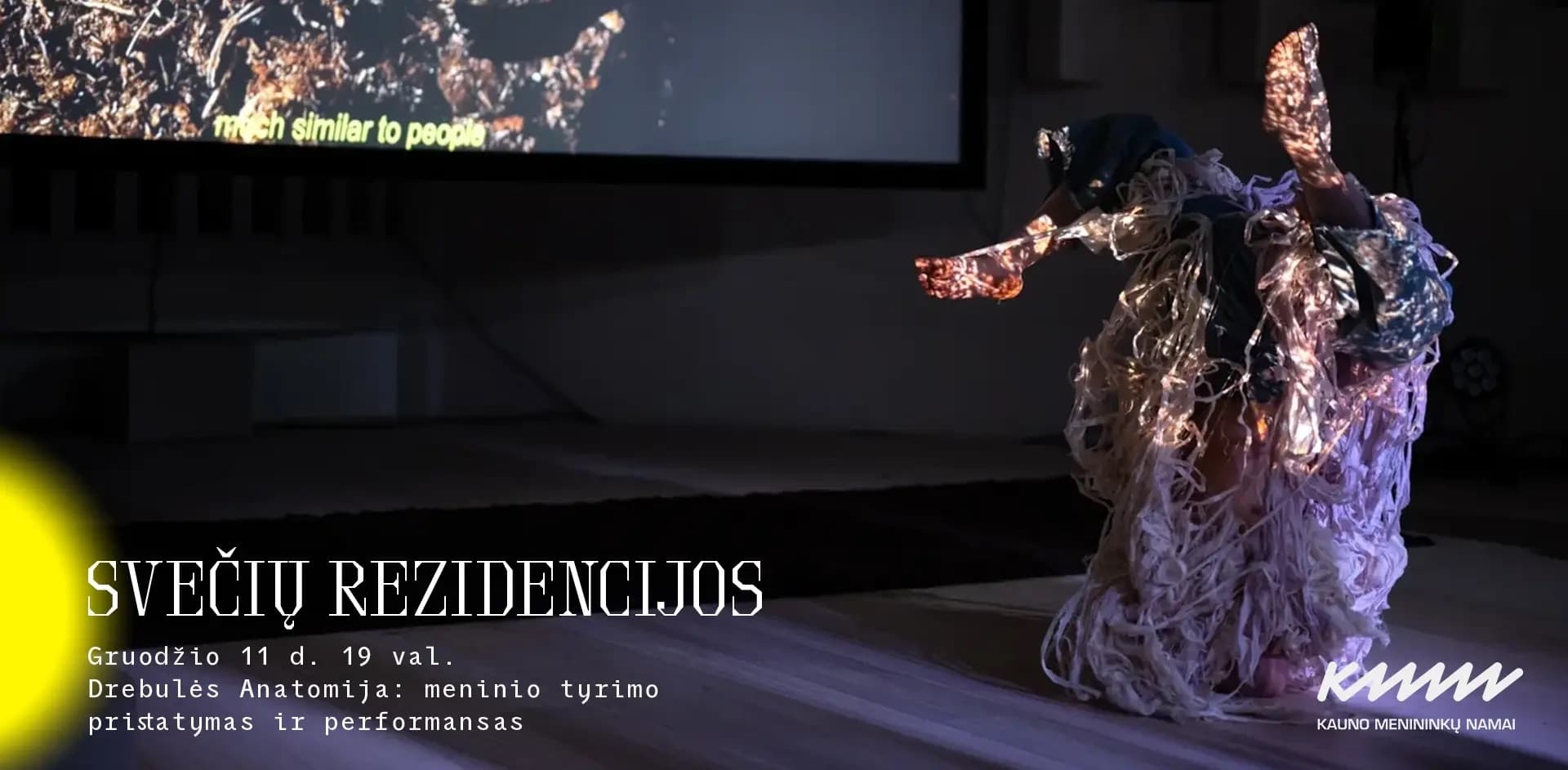 Svečių rezidencijos | Drebulės Anatomija: meninio tyrimo pristatymas ir performansas