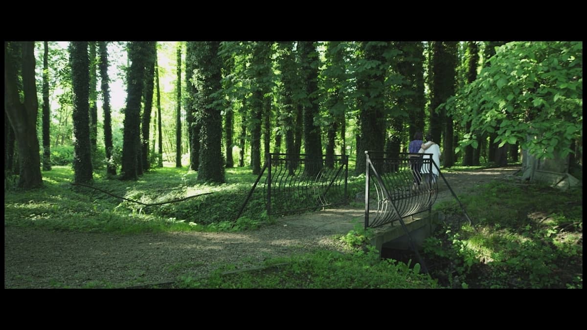 „Mokumentai“: Kam priklauso miestelis, miestas, metropolis?