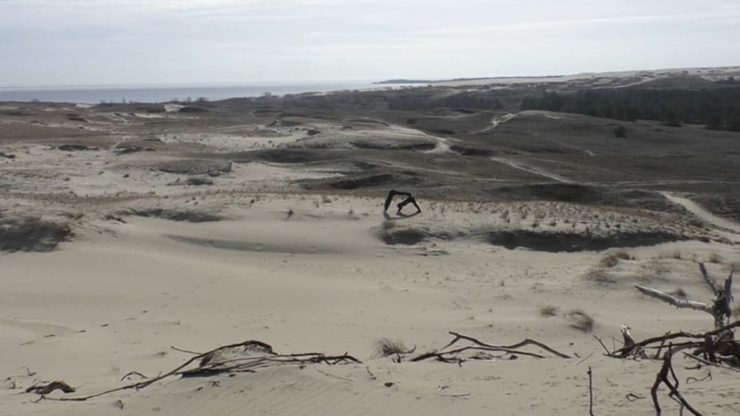 Liza Baliasnaja (LT/BE) ir Sidney Barnes (UK/BE)