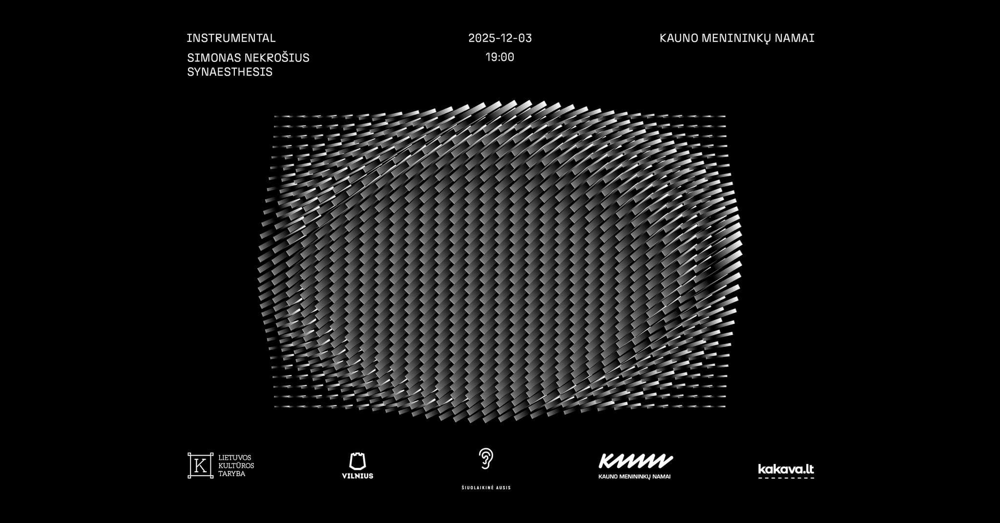 SYNAESTHESIS | INSTRUMENTAL | performatyvi garso instaliacija